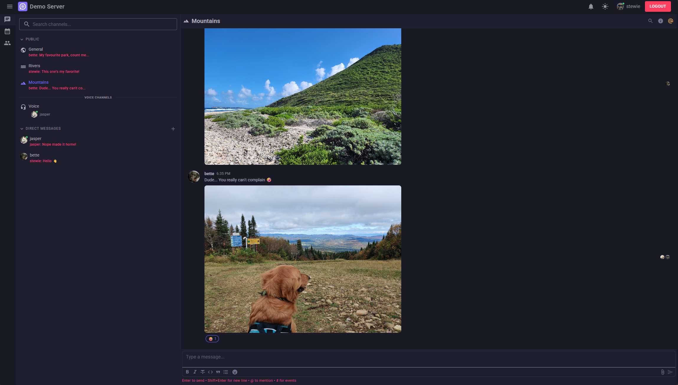 Self-Hosted Mockup